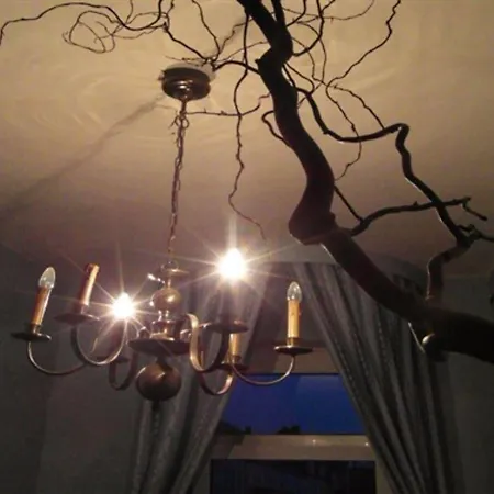 Homeplanet Hostel *